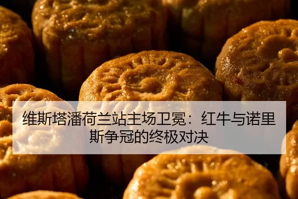 维斯塔潘荷兰站主场卫冕：红牛与诺里斯争冠的终极对决